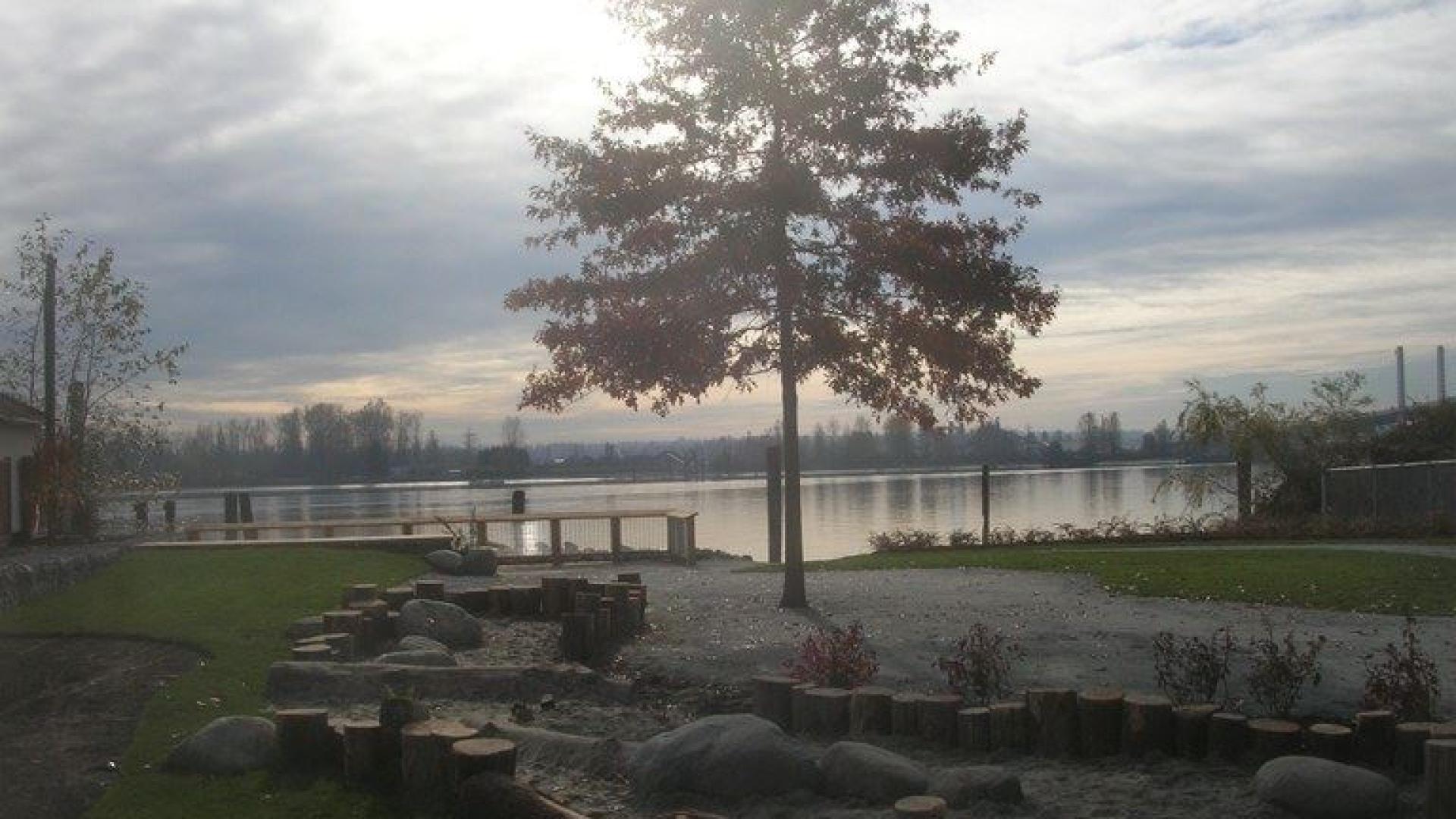 A singular tree grows in the centre if a gravel path leading to the show of a lake.